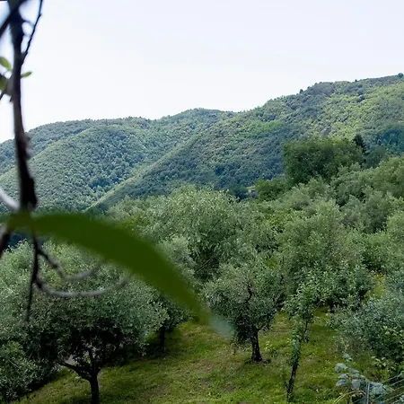 Casa vacanze Casa Teresa - Pescaglia